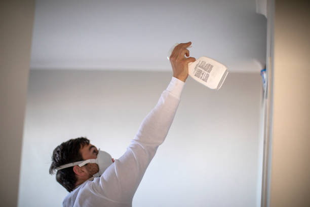 Best Mold Cleaning Services  in Charleroi, PA
