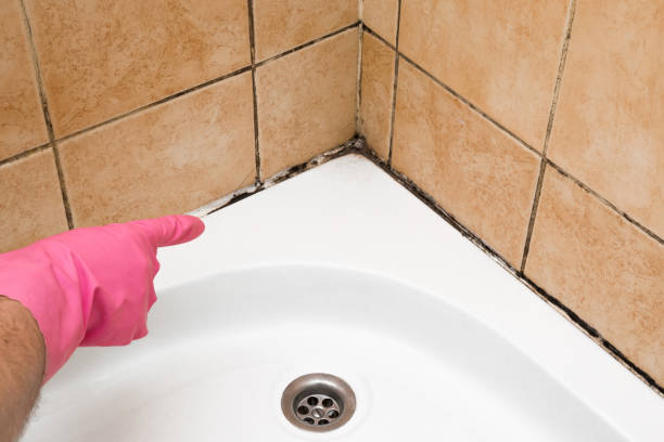 Best Local Mold Removal Service  in Charleroi, PA